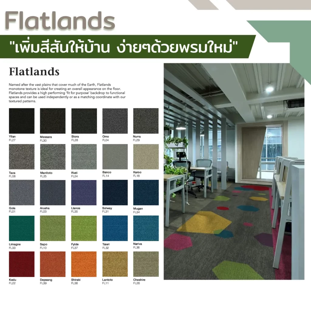 พรมแผ่น Flatlands รุ่น Gola FL01, Omo FL04, Rieti FL24